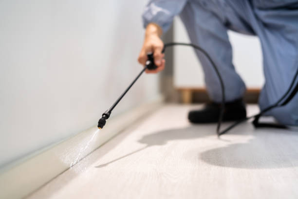 Licensed Pest Control service in St. Ansgar, IA - Show Me Pest Control