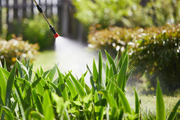 24/7 Emergency Mosquito Control experts in St. Ansgar, IA