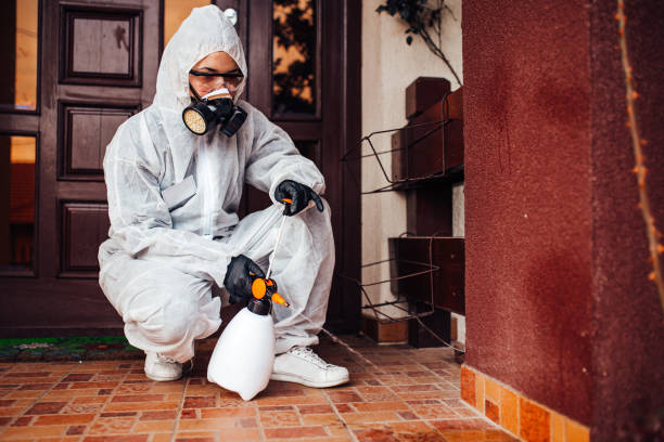 Reliable Mosquito Control contractor in St. Ansgar, IA by Show Me Pest Control